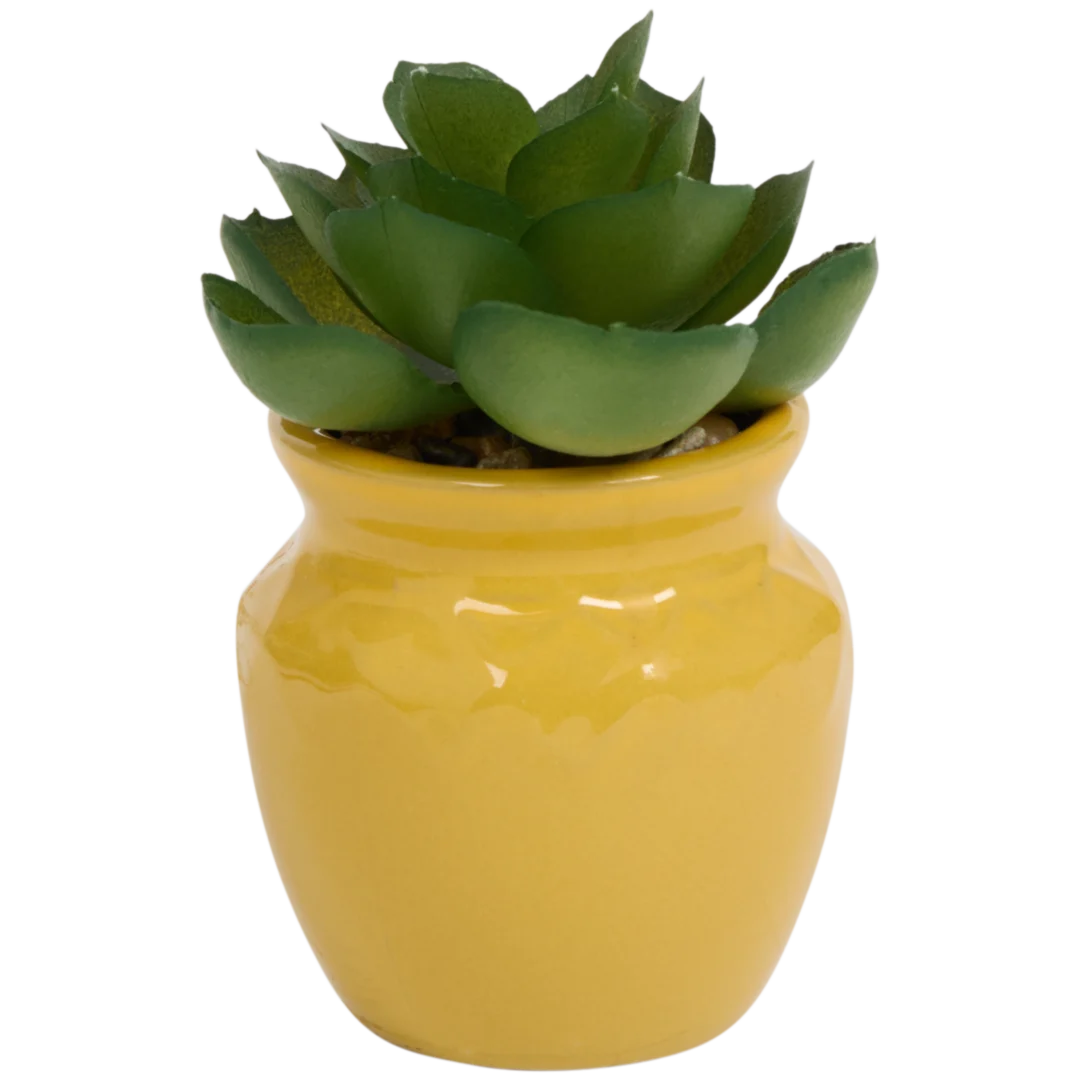 Planta suculenta artificial em vaso Home Accents