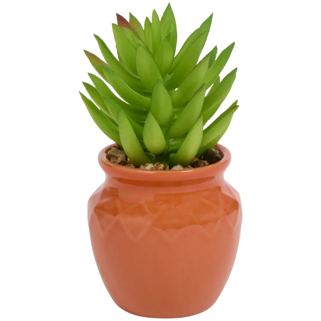 Planta suculenta artificial em vaso Home Accents