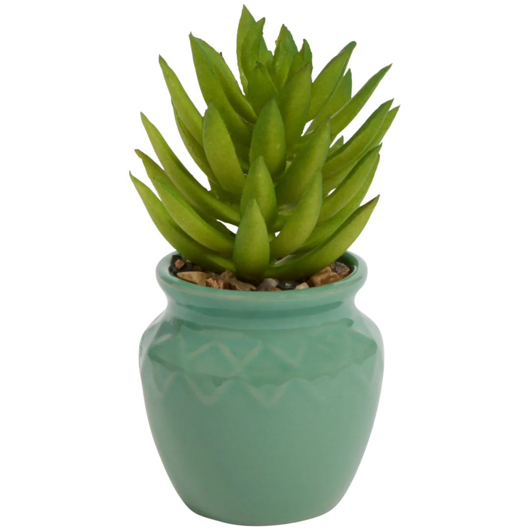 Planta suculenta artificial em vaso Home Accents