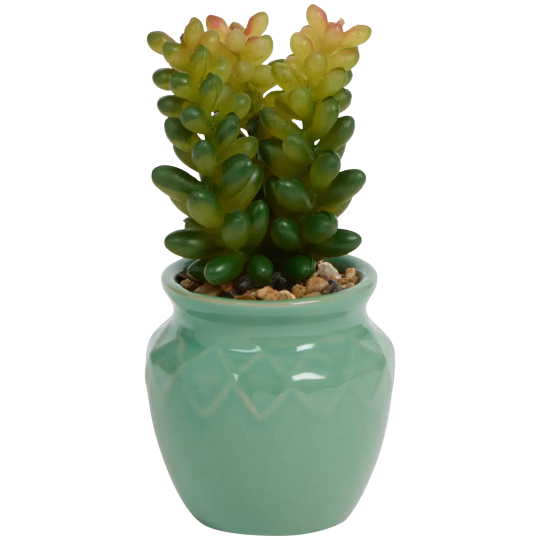 Planta suculenta artificial em vaso Home Accents