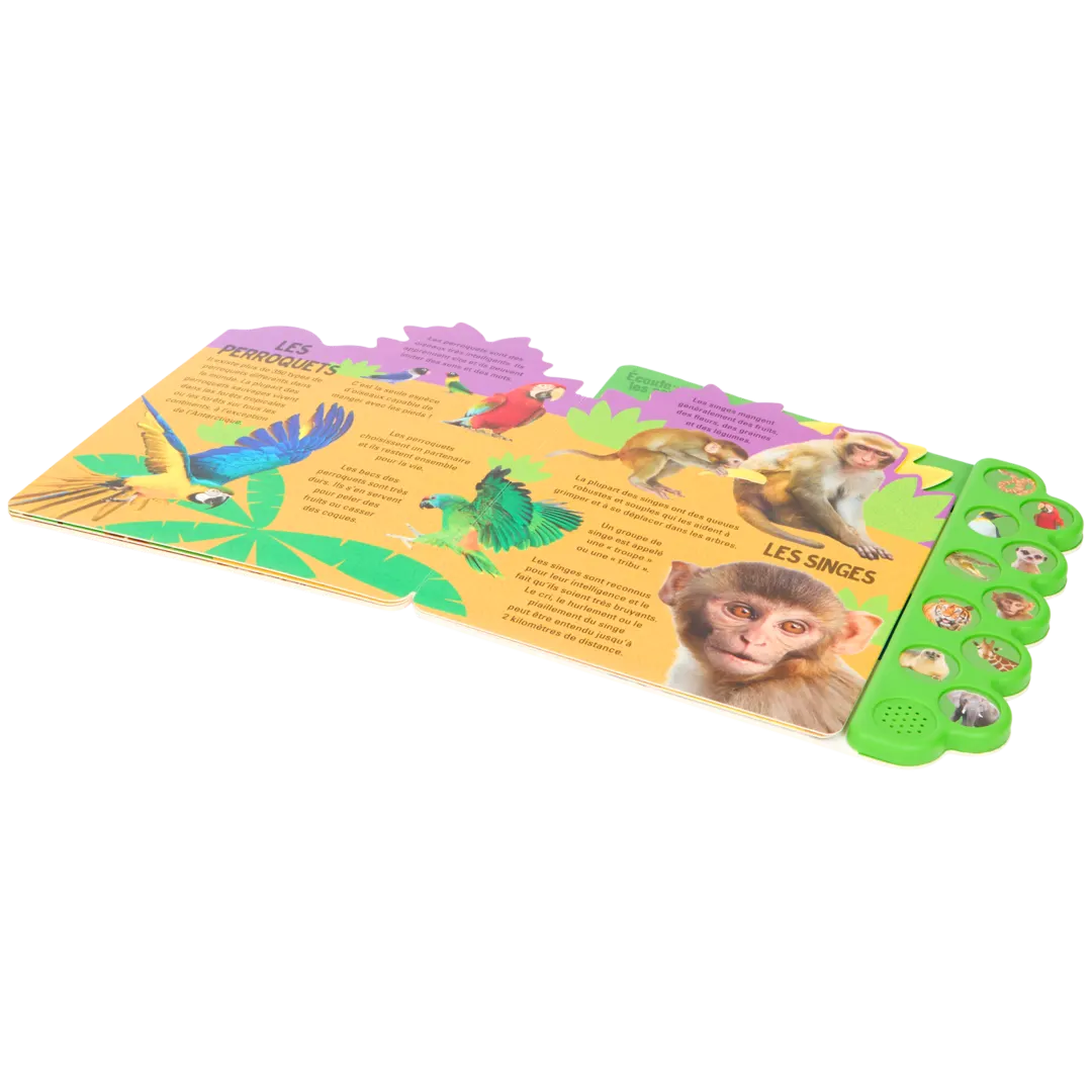 Livre pour enfant avec son