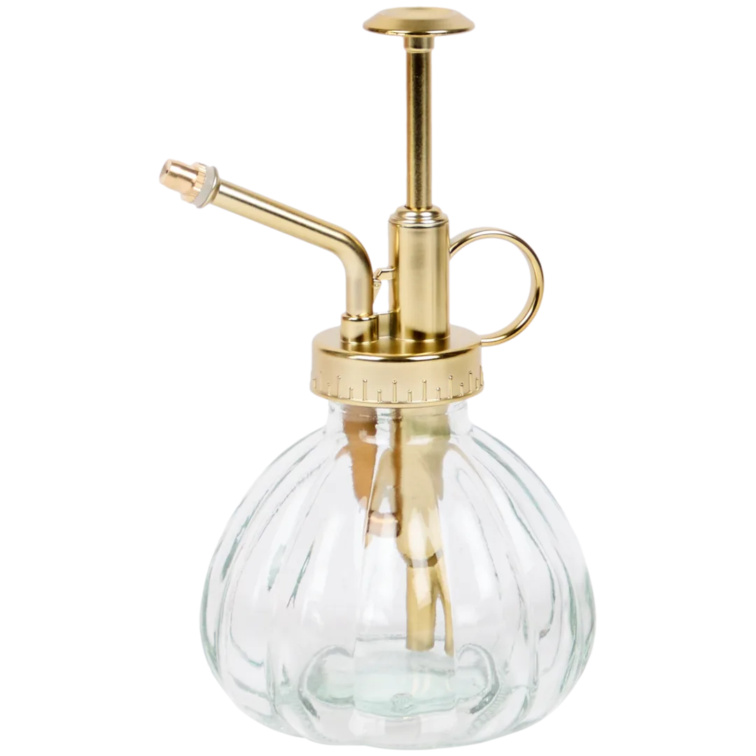 Vaporisateur pour plantes Home Accents