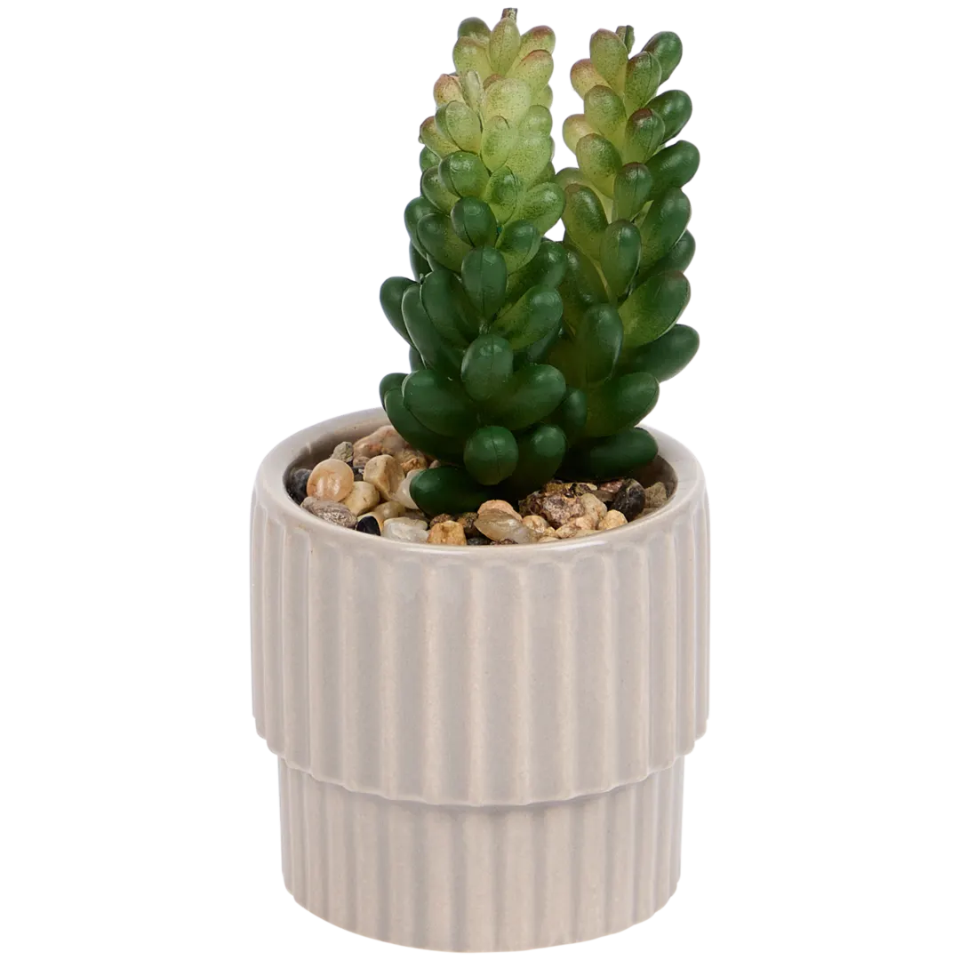 Planta suculenta artificial em vaso Home Accents