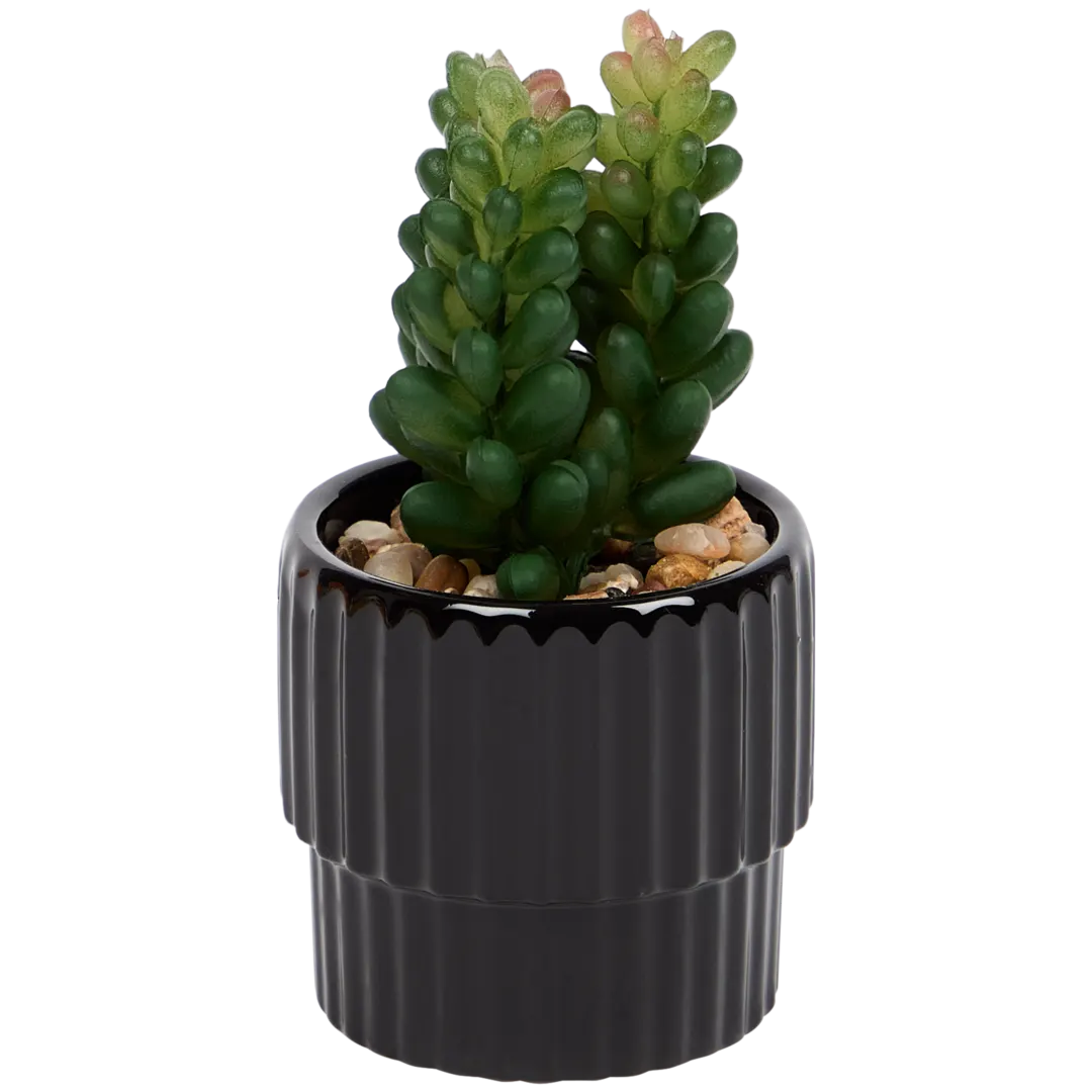 Planta suculenta artificial em vaso Home Accents
