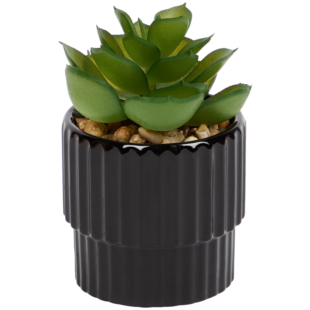 Planta suculenta artificial em vaso Home Accents