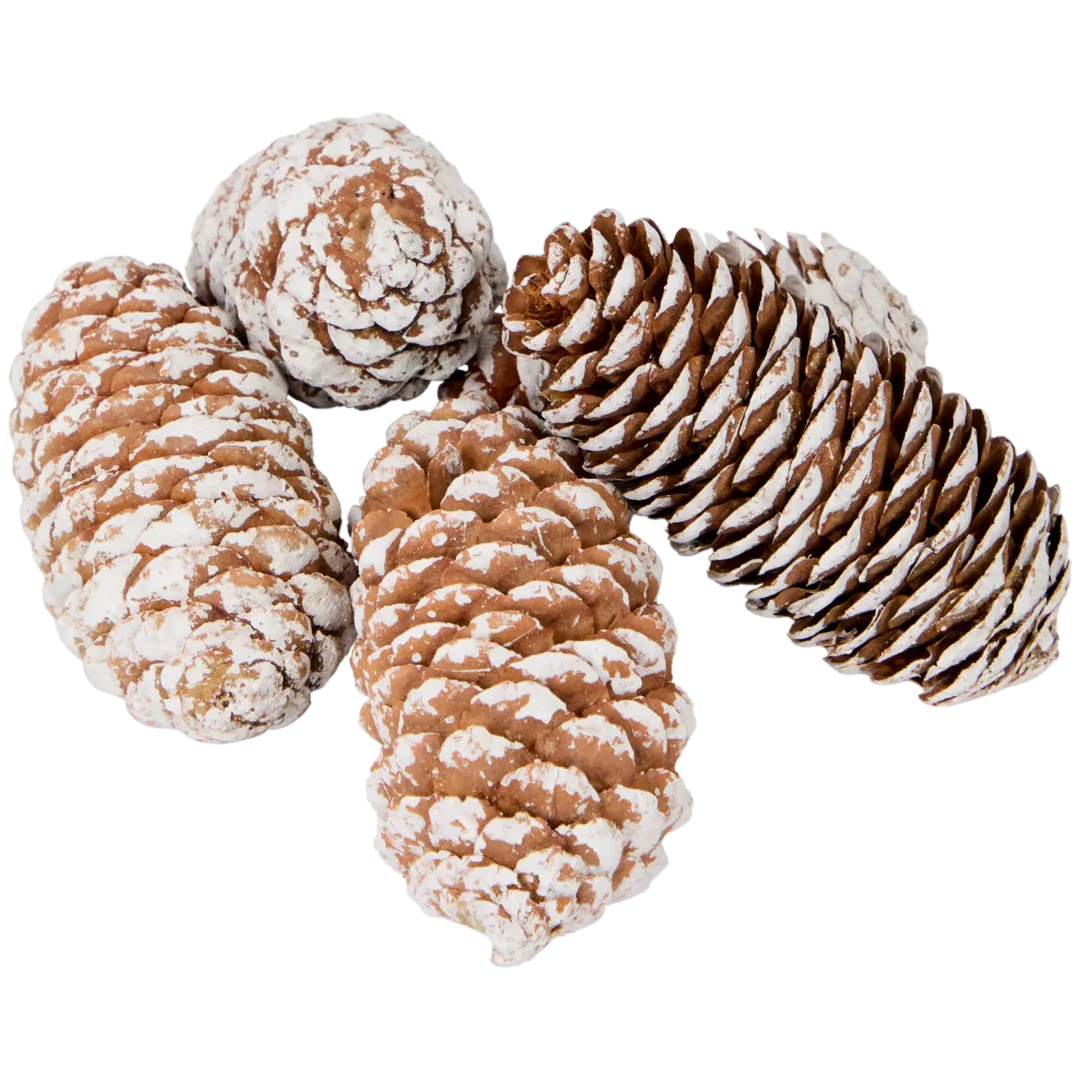 Mieszanka dekoracyjna
