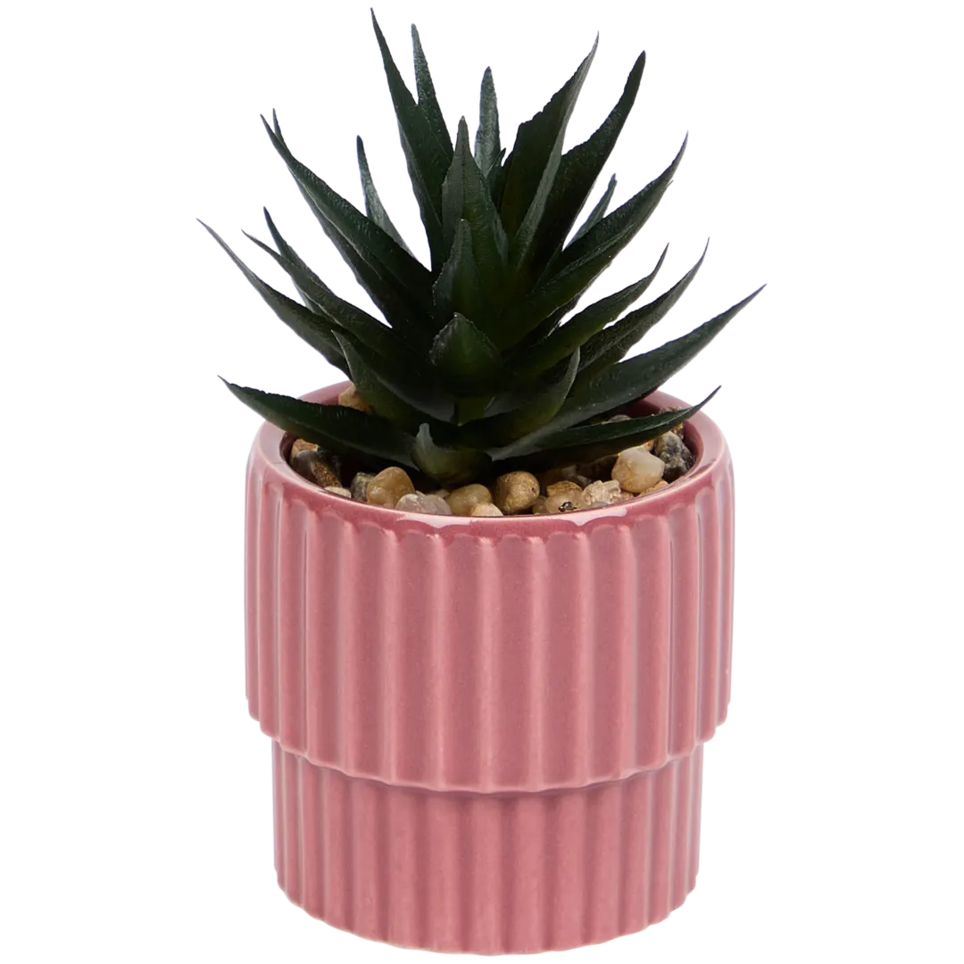 Planta suculenta artificial em vaso Home Accents