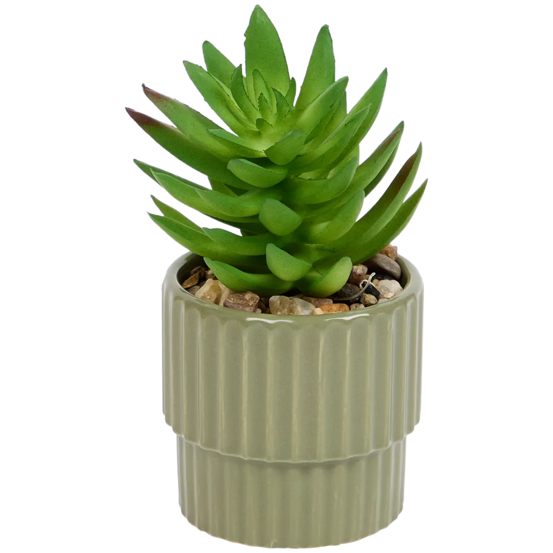 Planta suculenta artificial em vaso Home Accents