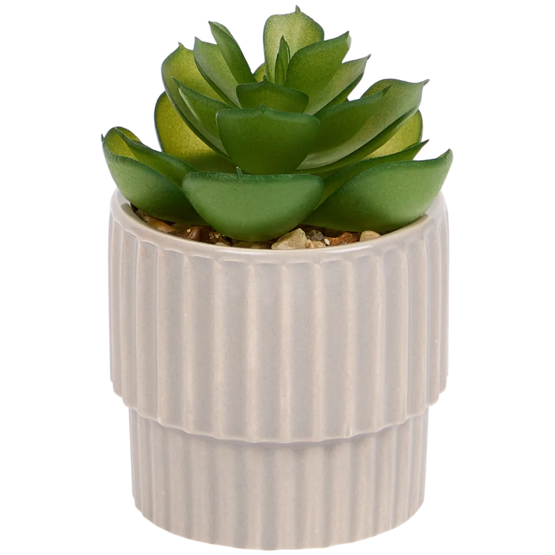 Planta suculenta artificial em vaso Home Accents