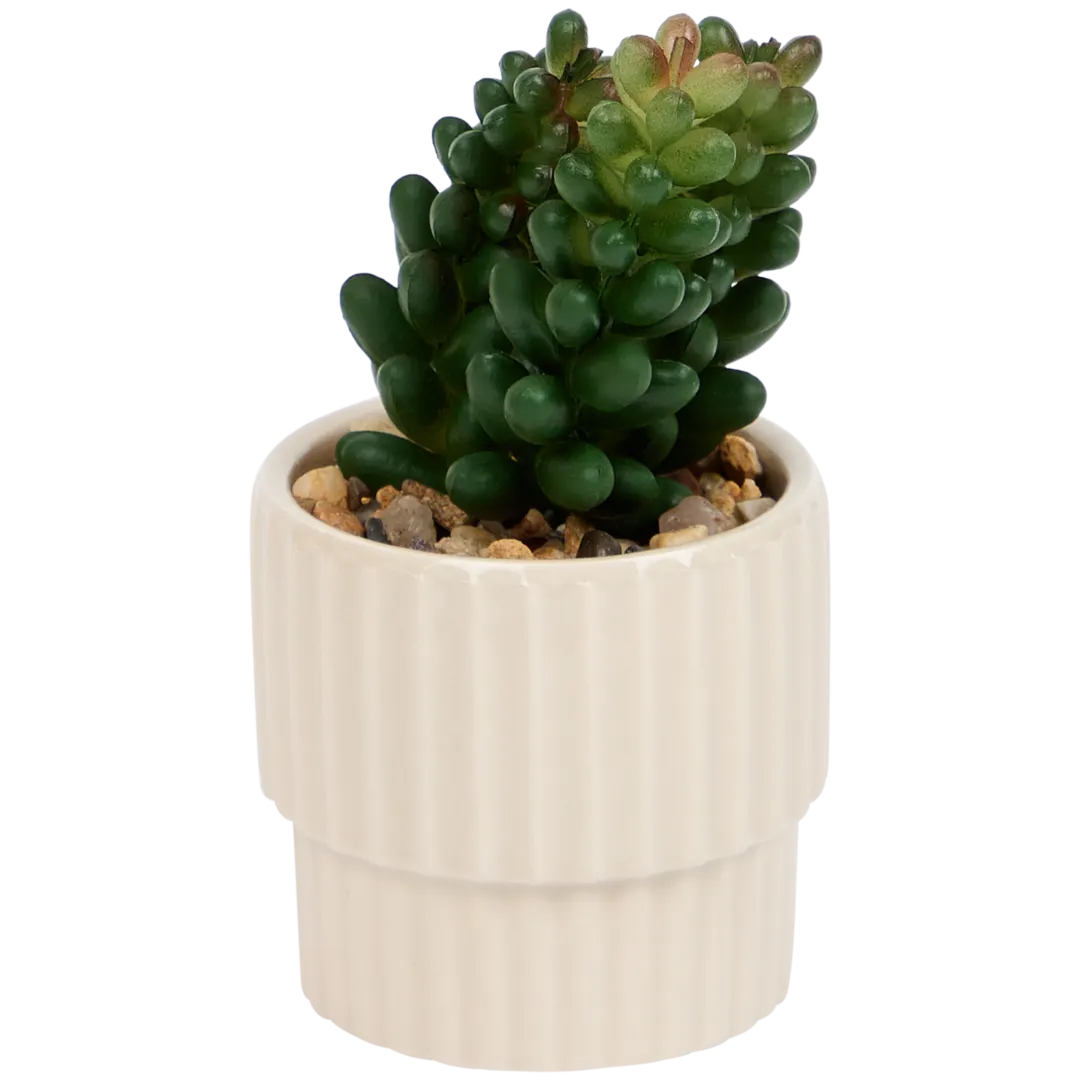Planta suculenta artificial em vaso Home Accents