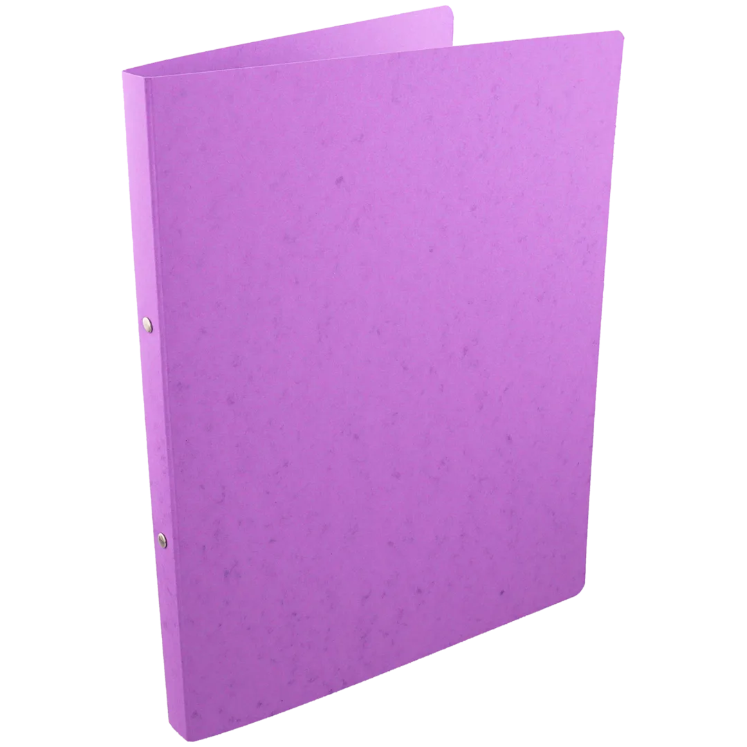 Raccoglitore ad anelli A4