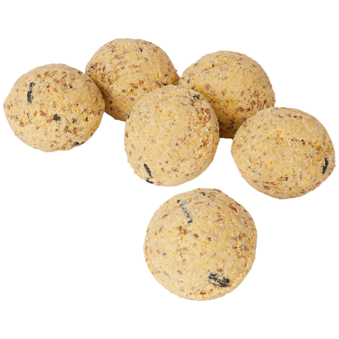 Bolas de sebo Bites for Birds