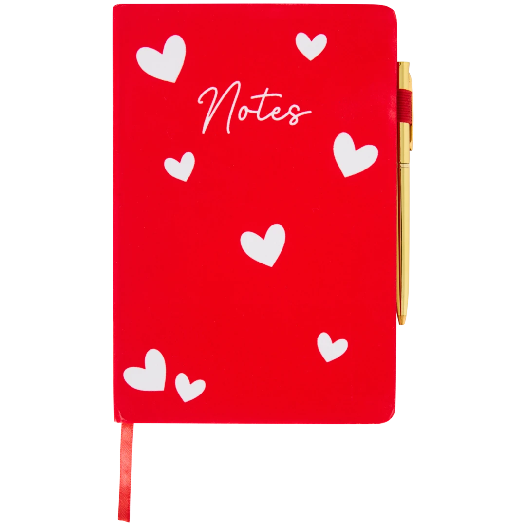 Carnet de notes 1