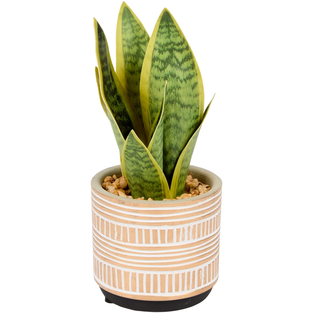 Sansevieria artificielle en pot The Hamptons Collections HOME 1
