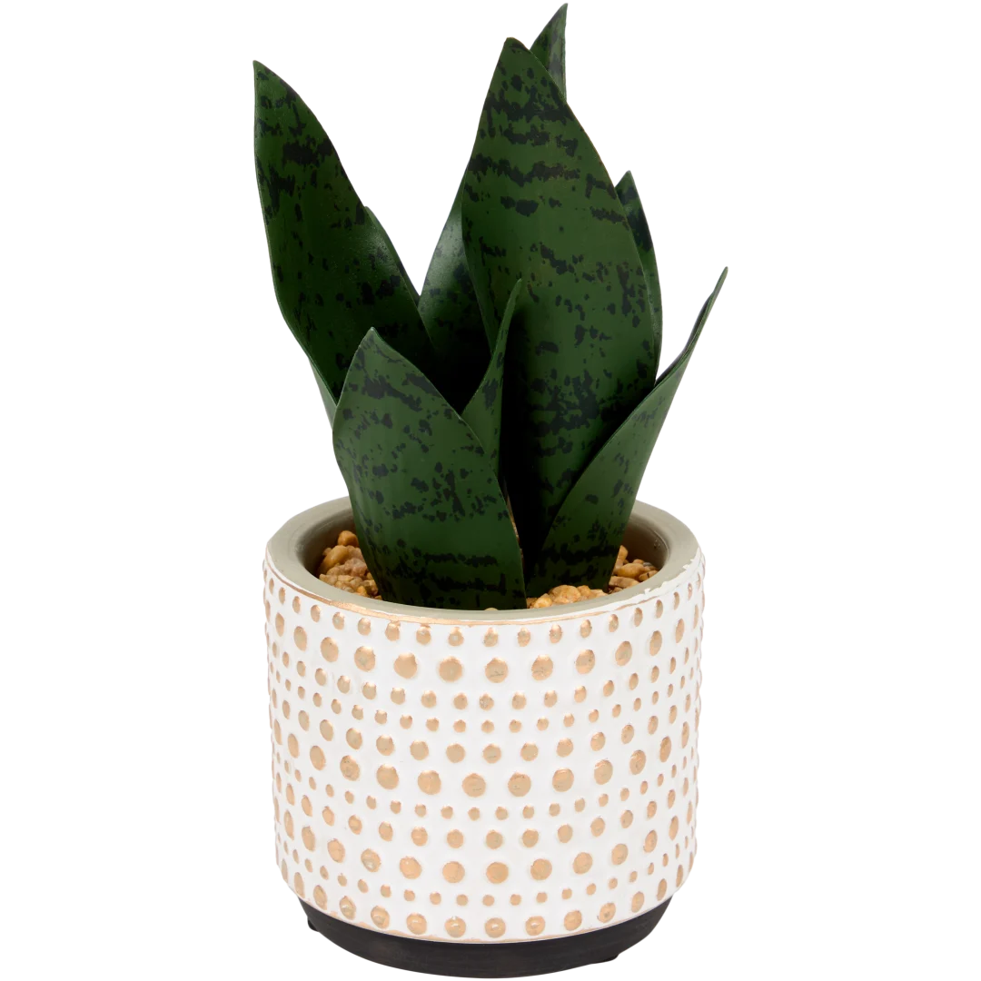 Sansevieria artificielle en pot The Hamptons Collections HOME 2