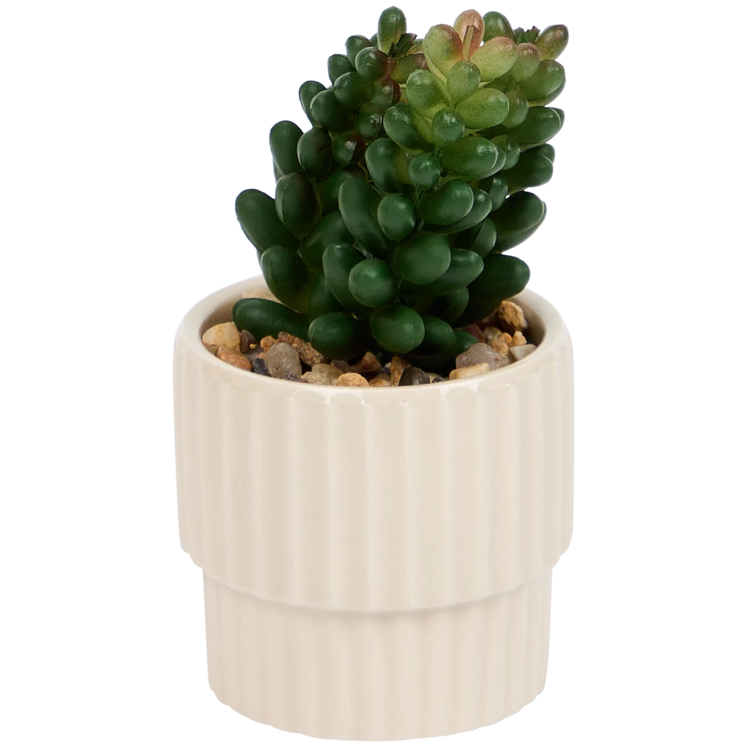 Pianta Artificiale Agave Velener 55 Cm: Finta Succulenta Realistica Resistente UV Per Interni Ed Esterni. Stelo Con 43 Foglie Verdi, Senza Vaso. - 4