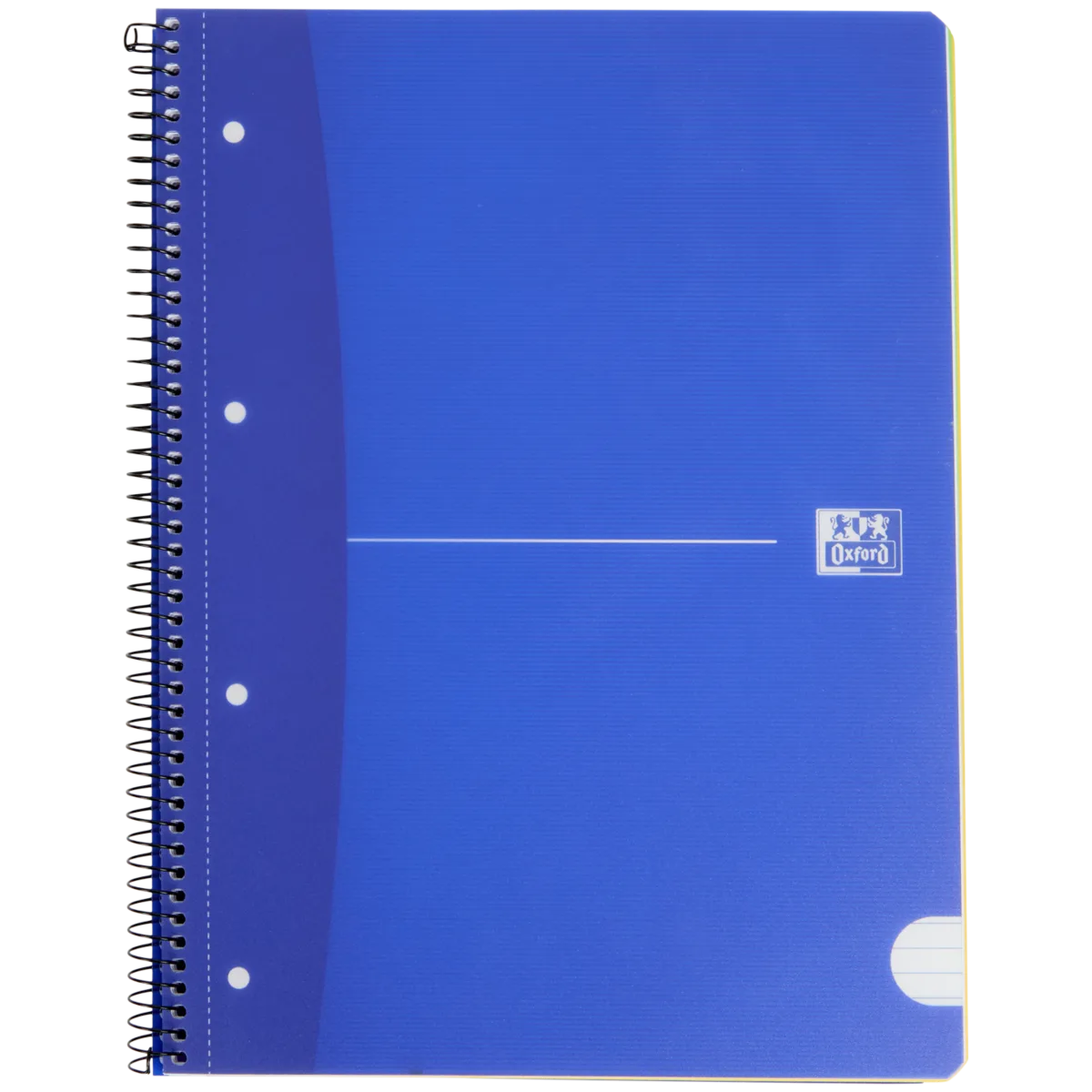 Taccuino A4 Con Indice Alfabetico - 96 Fogli A Quadretti, Copertina Rigida Blu - Perfetto Per Ufficio E Casa - Foto 9