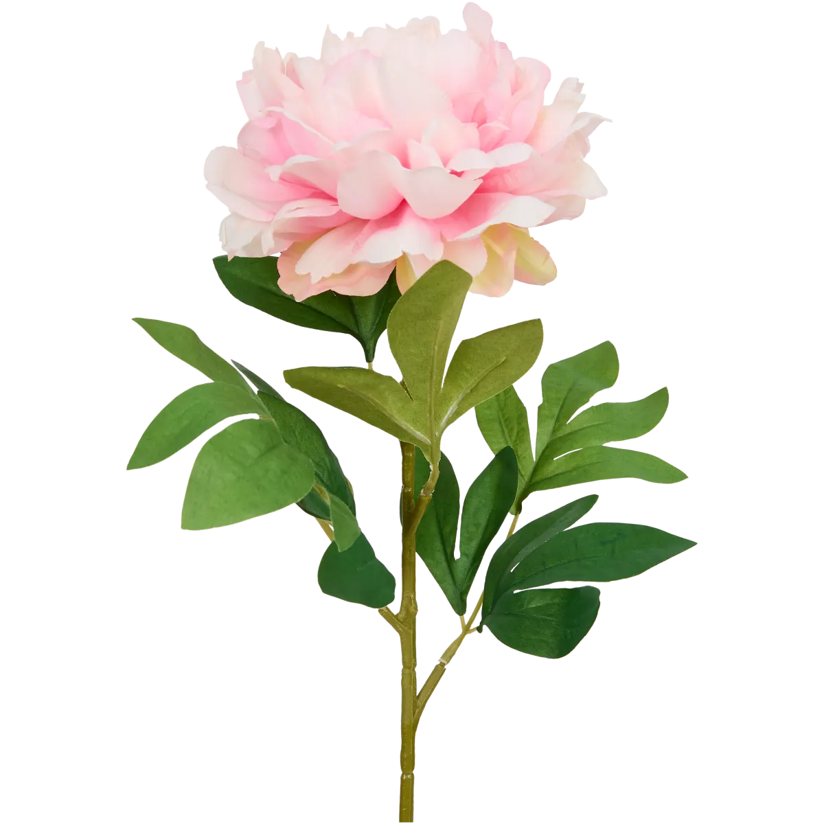 Excellent Flowers Künstliche Blume – 70 cm