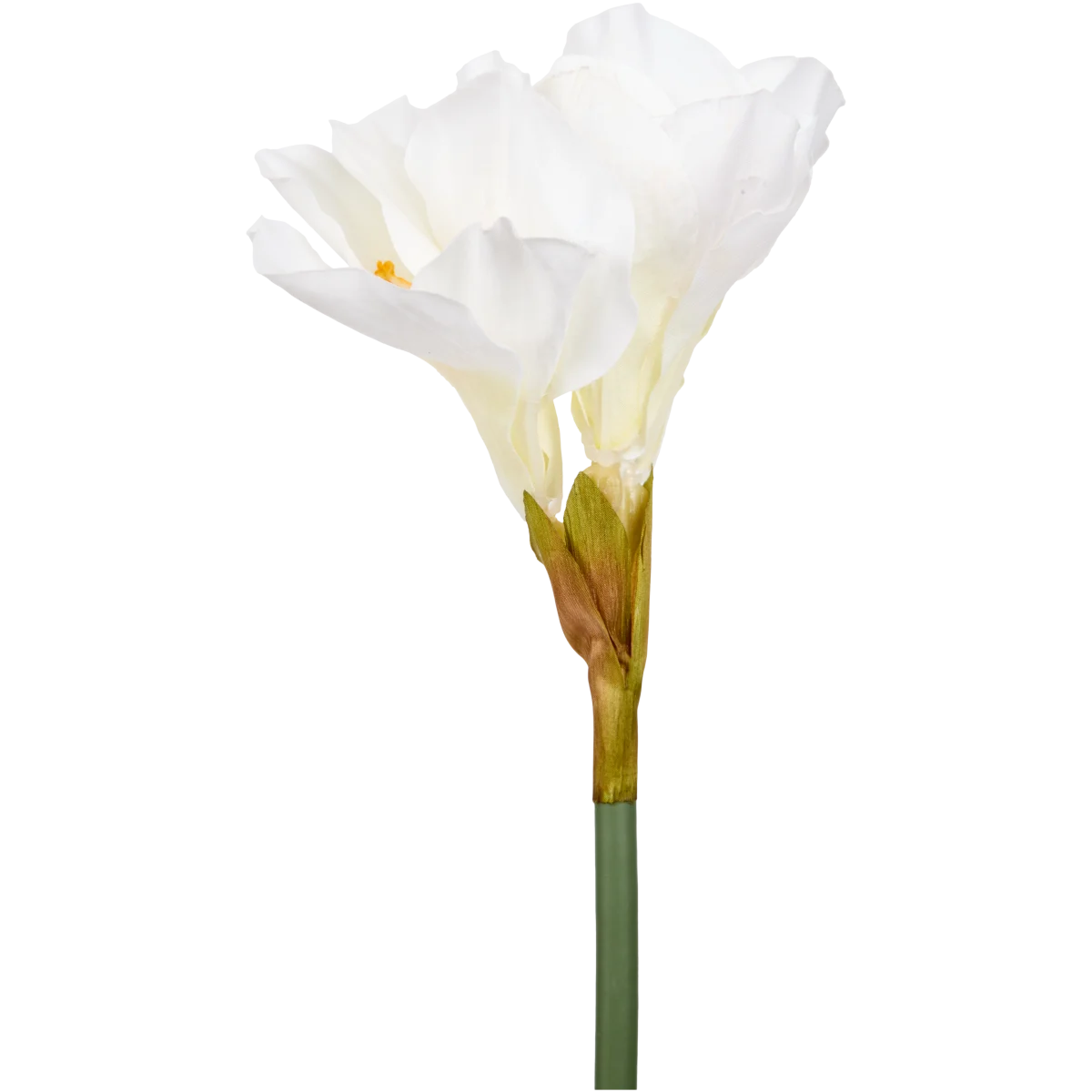 Knstliche Amaryllis mit Stiel | Action DE