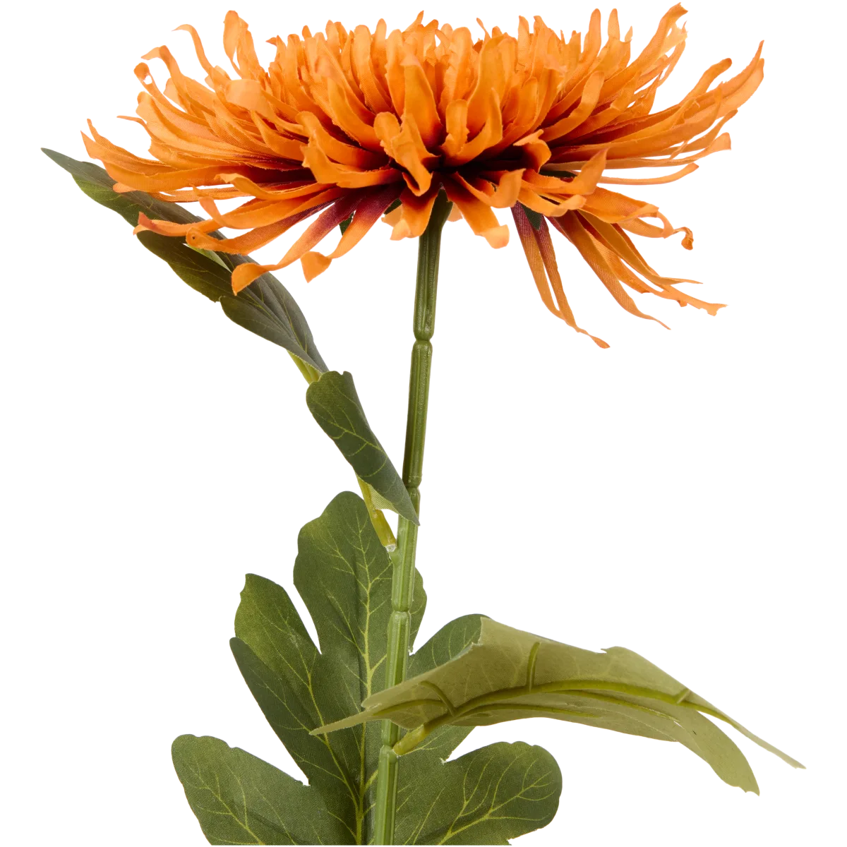 Stelo di crisantemo gigante in tessuto Crema (fiore 18 cm) - 75 cm