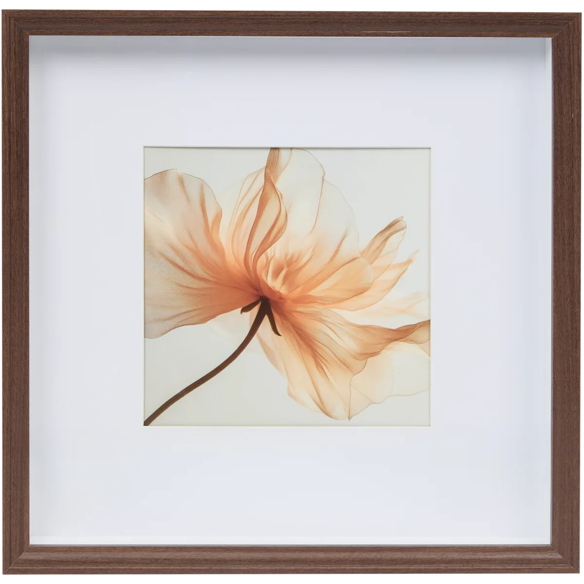 Cornice Portafoto Bildershop-24 Monza 50x75 Cm – Tinta Marrone Scuro, Con Vetro Acrilico Antiriflesso, Made In Germany