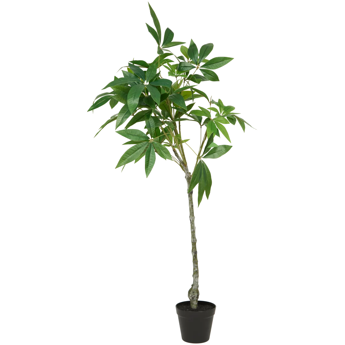 Piante Finte Da Interno Pianta Artificiale Camelia In Vaso - 28cm Altezza - Decorazione Per Casa E Ufficio - Senza Manutenzione Bonsai Pianta Vera