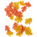 Navigate to image