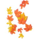 Navigate to image