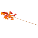 Navigate to image
