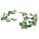 Navigate to image