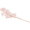 Navigate to image