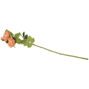 Navigate to image