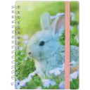 Navigate to image