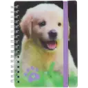 Navigate to image