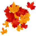 Navigate to image