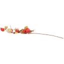 Navigate to image