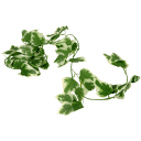 Navigate to image