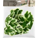 Navigate to image