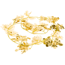 Navigate to image