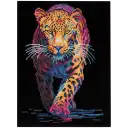 Navigate to image