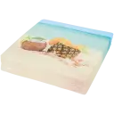 Navigate to image