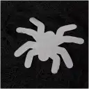 Navigate to image