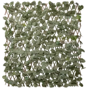 Navigate to image