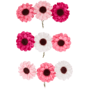 Navigate to image