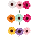Navigate to image