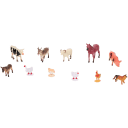 Navigate to image