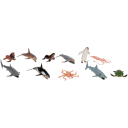 Navigate to image