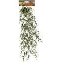 Navigate to image