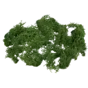 Navigate to image