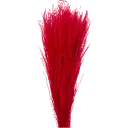 Navigate to image